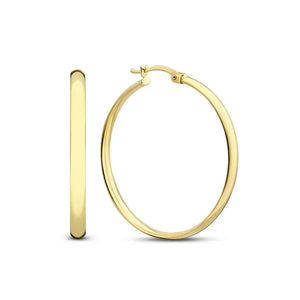 Clariseah | Earrings 18k Gold Aurevea Atelier